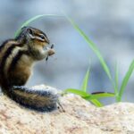 ♠일상 일기♠ 관찰