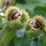 ♠일상일기♠ 생각