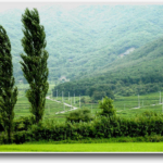 ♠일상일기♠ 애송 詩