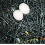 ♠일상일기♠ 너무 분하여 한이 맺혔다!