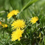 2시간 26분의 참혹한 기록