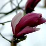 4월은 가장 잔인한 달 2