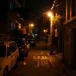 김동석시인 출판기념회에 붙여