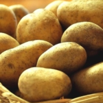 인생도처유상수