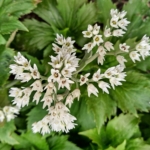 수원문학 편집 주간에서 물러나며 편집위원님들께 소식을 띄웠다