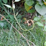 누굴 홀리려고!