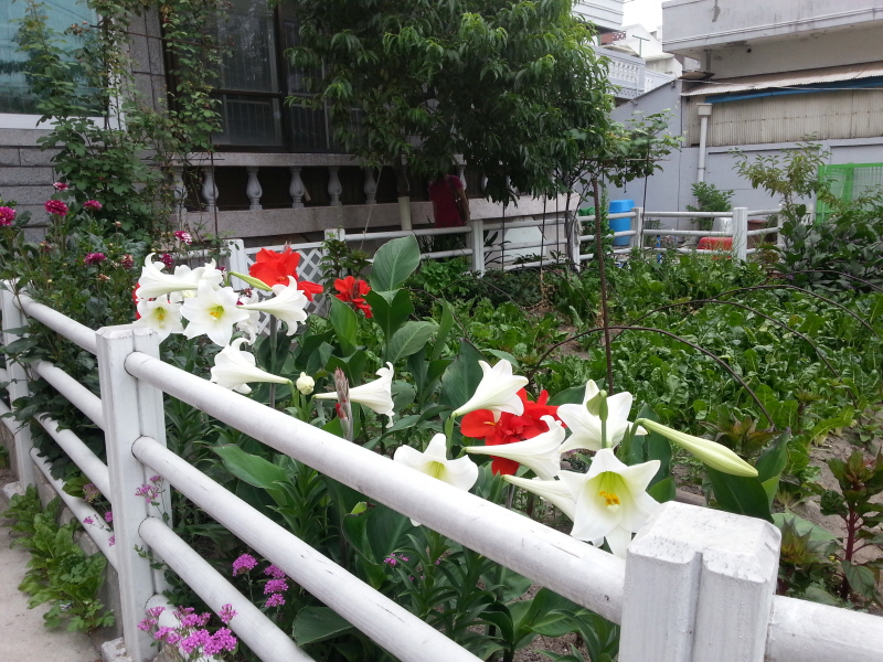20140619_064142.jpg