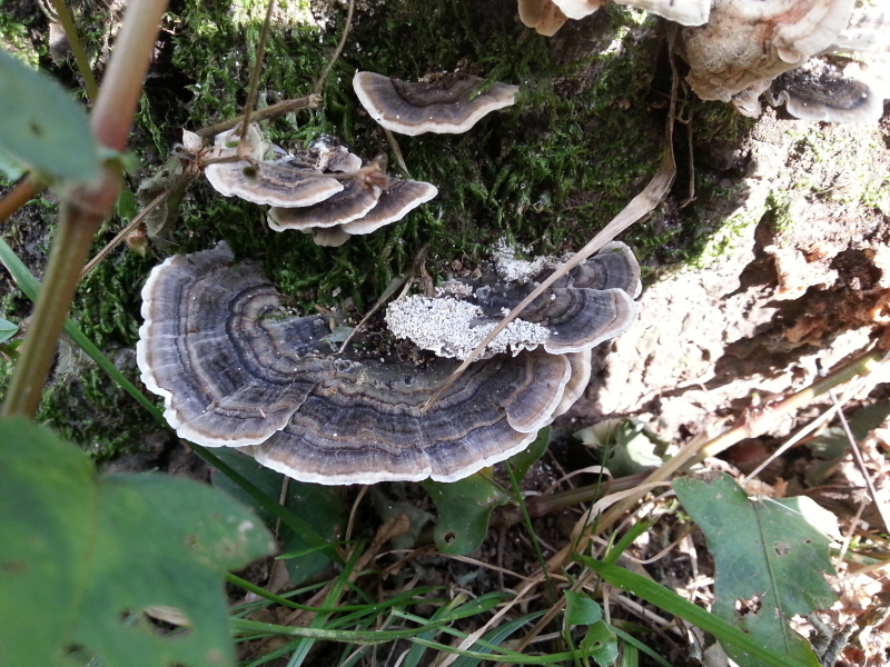 20131009_134409.jpg