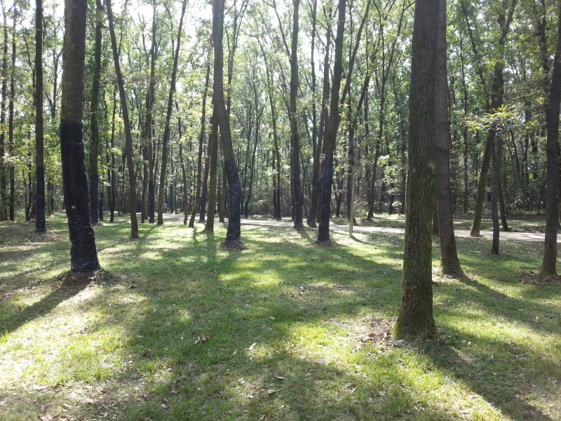 20131009_134510.jpg