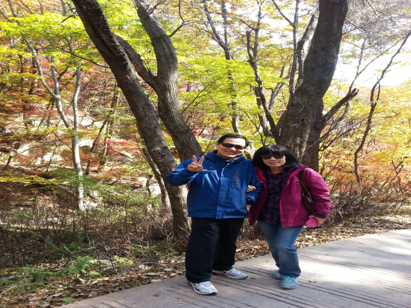 20131027_114525.jpg