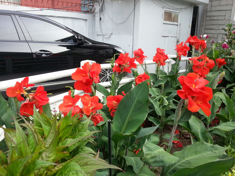 20140705_080456.jpg