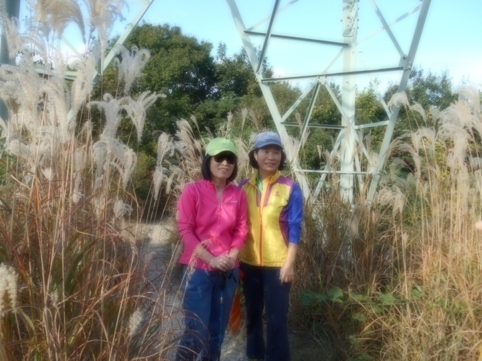 사본 -DSCN0331.jpg