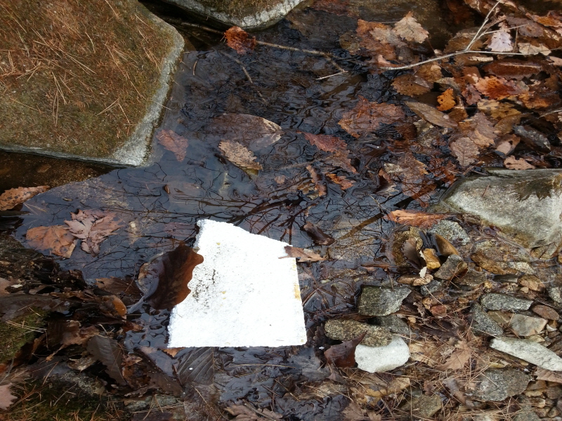 사본 - 20140308_152152.jpg